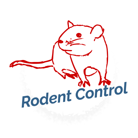 rodent control icon