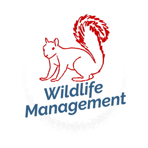 wildlife icon