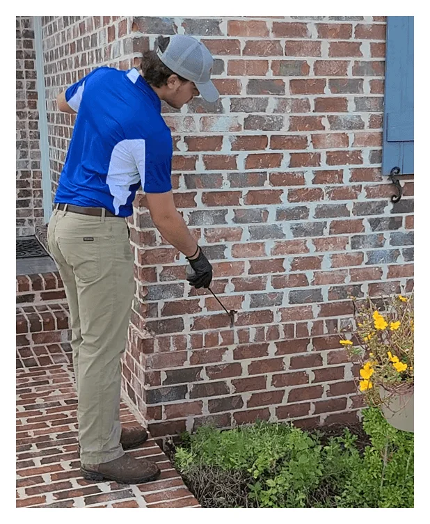 pest tech