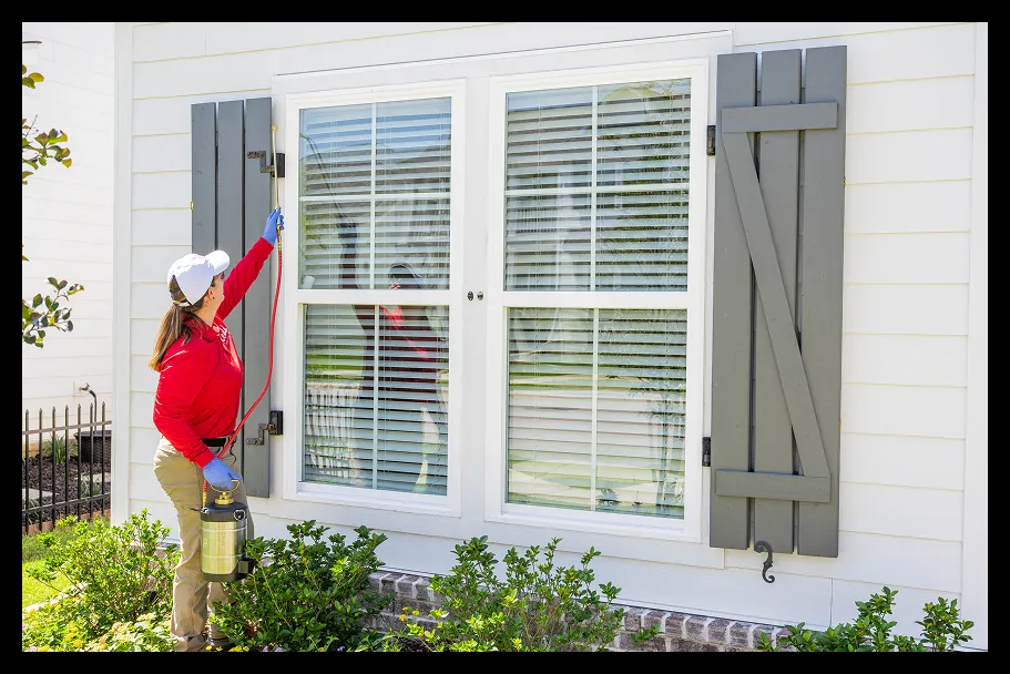An employee cleaning a window