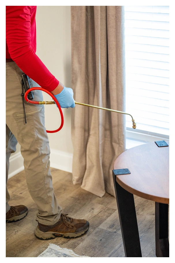 teach treating home interior